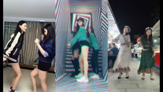 Anjing Kacili Remix Dance