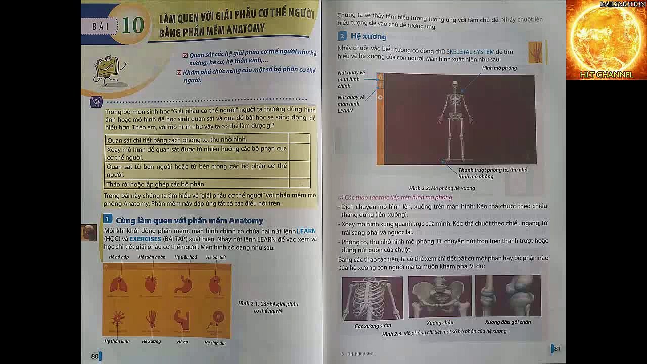 T8-B10, LÀM QUEN VỚI GIẢI PHẪU CƠ THỂ NGƯỜI BẰNG PHẦN MỀM ANATONY, TIN HỌC 8, #HLT8_88
