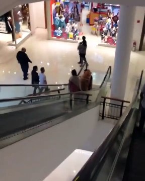 Este perro tiene pánico y miedo a las escaleras mecánicas