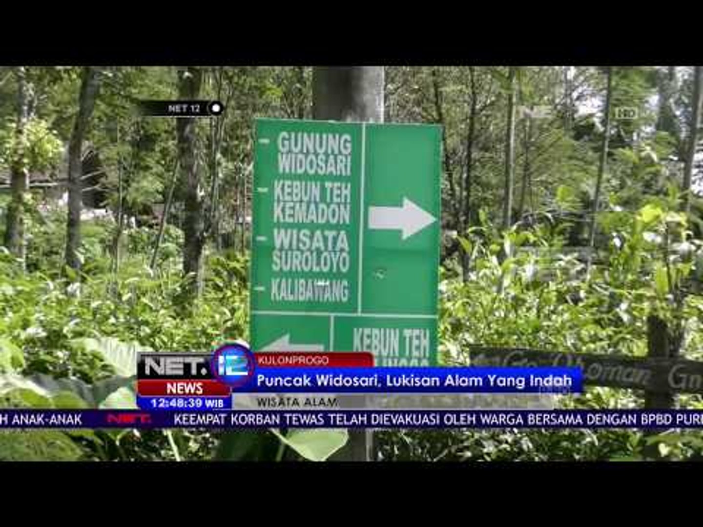 Segarkan Mata Di Perkebunan Puncak Widosari Net 12