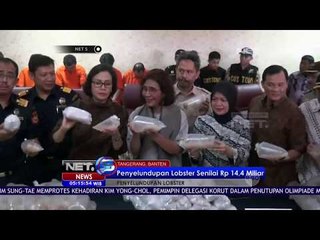 Penyelundupan Lobster Berhasil Digagalkan - NET 5