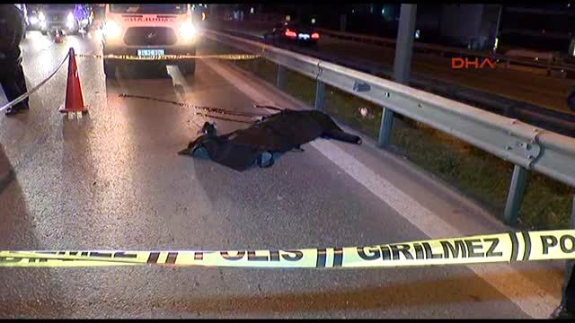 D-100 Karayolu'nda Karşıdan Karşıya Geçmeye Çalışırken Canından Oldu