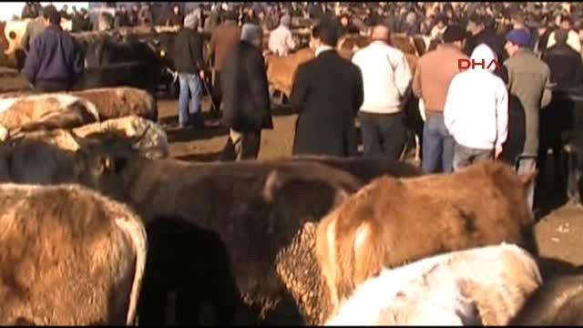 Kars'ın Üç İlçesinde Hayvan Pazarları 35 Gün Süreyle Kapatıldı