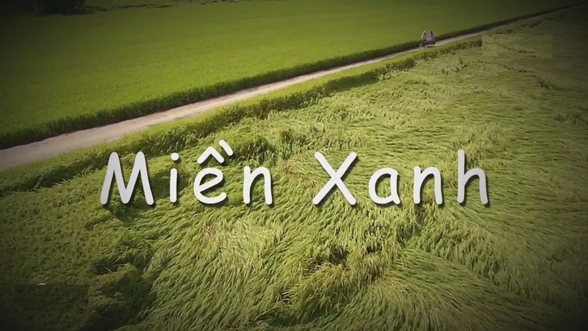 Phim Miền Xanh Tập 20 - Phim Việt Nam (HTV9)