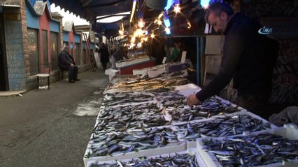 “Bu sezon Hamsi avı geçen yıldan yaklaşık yüzde 50 daha fazla oldu”