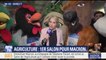 Les mascottes du Salon de l’agriculture veulent interpeller Emmanuel Macron