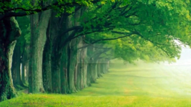 5 Unusual Hacks To Dramatically Cure Bed Bug Bites (Easy to Follow Tips)