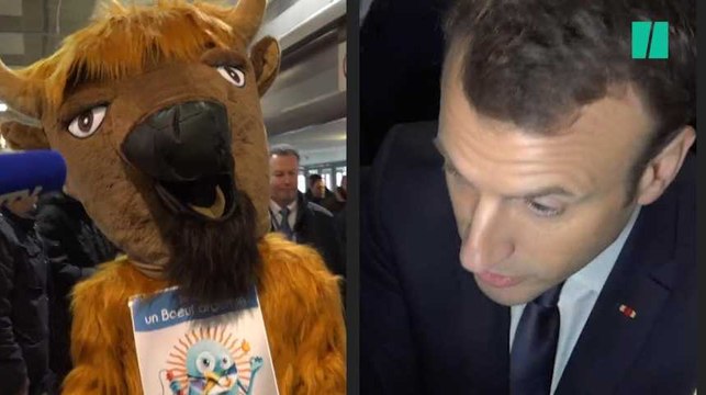 Madame la vache , Macron débat avec de grosses peluches dès son arrivée