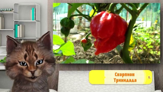 ВСЕ ПРО АМАНЕТ (Фильм Мумия 2017) | И #ФАКТЫ, КОТОРЫЕ ТЫ ОБЯЗАН ЗНАТЬ | Котоновости 18