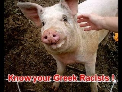 Greek Racist Pigs Yeefti Faces EXPOSED !