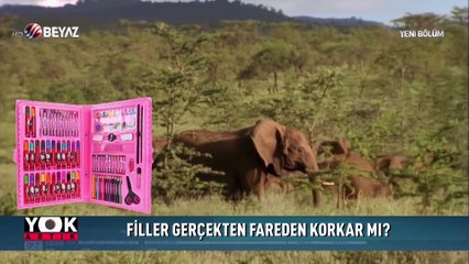 Yok Artık 24 Şubat 2018