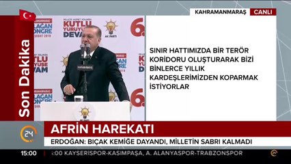 Zeytin Dalı