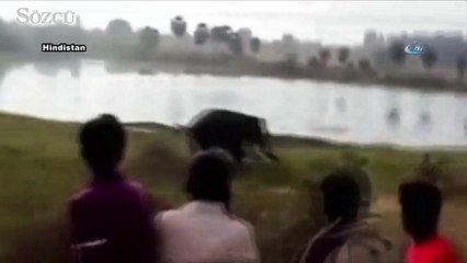 Filin saldırısına uğrayan adam hayatını kaybetti