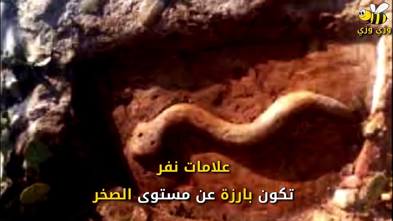 علامات وجود الذهب في الصخور