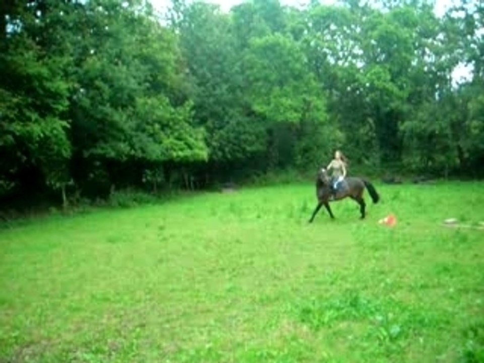 Titi saut