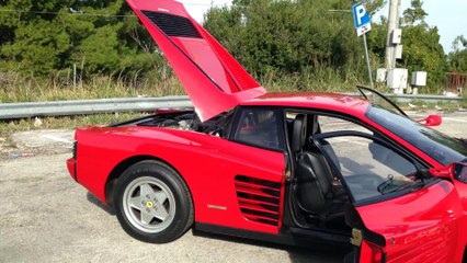FERRARI TESTAROSSA  RIDDLER PASSIONE MOTORI