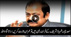 Rana Sanaullah dares Imran Khan to prove his allegations against Ahad Cheema