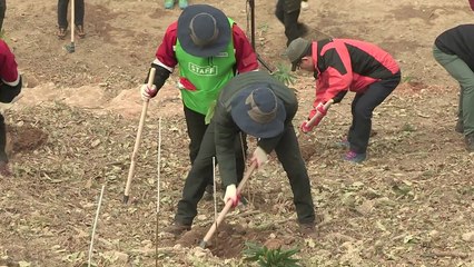 완도서 첫 나무심기...'5천만 그루 심는다' / YTN