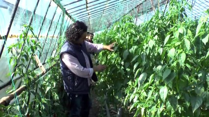 İroni yaptığını iddia eden öğretmen açığa alındı - ANTALYA