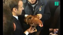 Emmanuel Macron a adopté une poule au Salon de l'Agriculture et BFMTV l'a invitée en plateau (la poule)