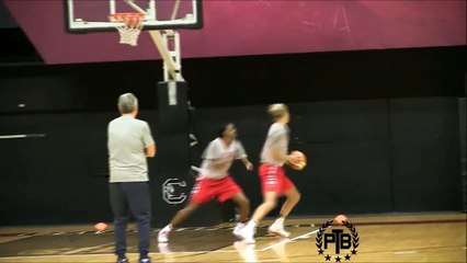 Elena Delle Donne basketball