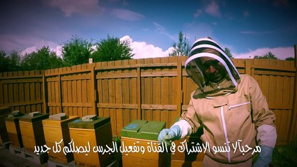 , عالم النحل ,مرض النوزيما لنحل