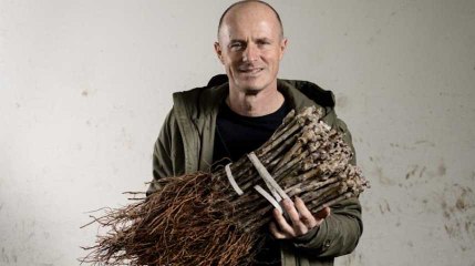 "A cause du clonage, tous les vins se ressembleront"