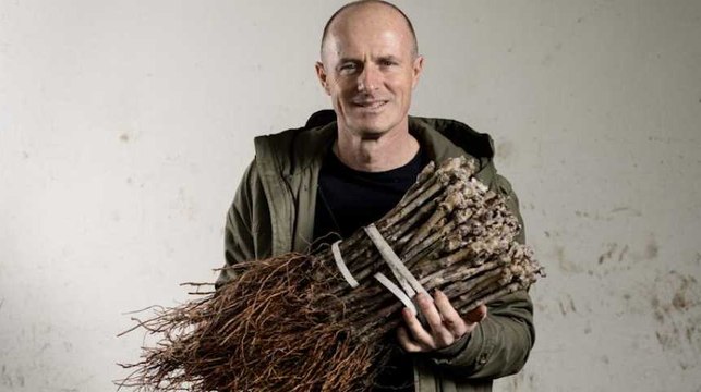 A cause du clonage, tous les vins se ressembleront