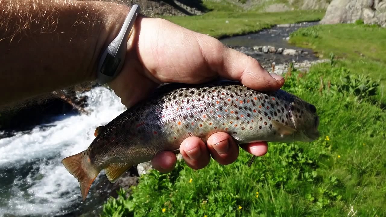 Rando peche de l Oursiere au grand Domenon