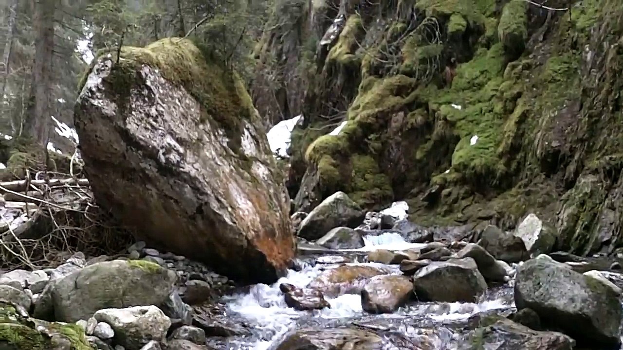 Peche dans le ruisseau du Veyton pres d Allevard