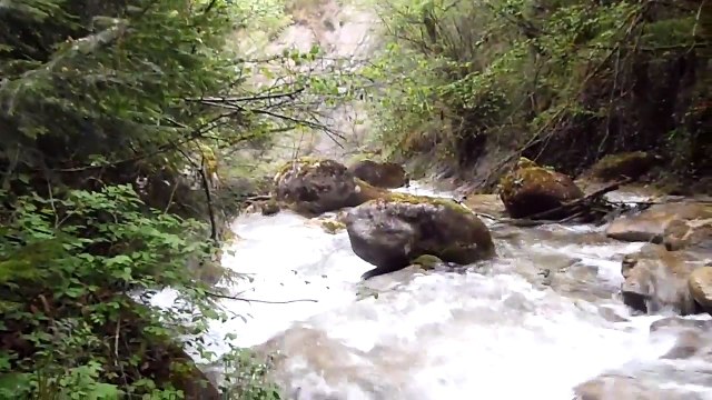 Peche de la truite au toc dans le ruisseau de Sarcenas