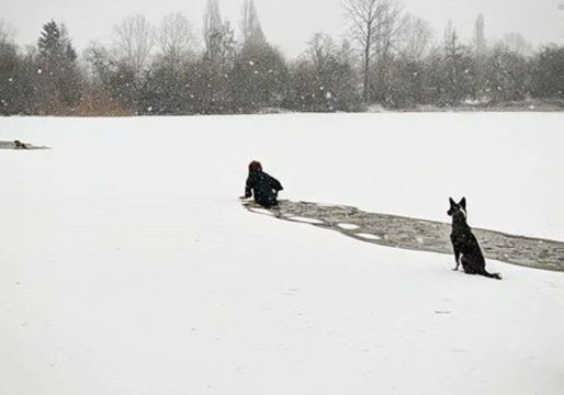 Woman Wades Through Icy Water to Rescue Dog From Vancouver's Trout Lake