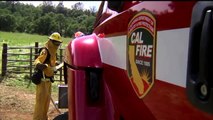 Cal Fire Recruits Investigated for Drinking While On Duty at Academy