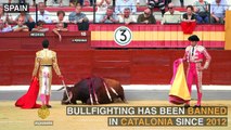 Catalonia's Last Bullfight - Fran Vasquez (Bullfighter)