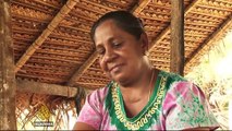 Sri Lanka fishermen accuse Indian trawlers of stealing their livelihoods