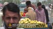 Inside Story - Are Afghan refugees in Pakistan a security threat?