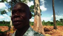 Ivory Coast: Farmers abandon cacao for gold mining