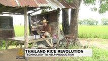 Can technology help boost Thailand rice production?