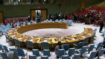 - BM, Suriye'de 1 ay insani ateşkes kararı aldı