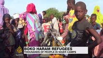 Nigerian refugees in Niger struggle amid scare resources