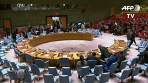 Conselho de Segurança apoia cessar-fogo na Síria