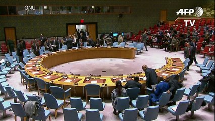 Conselho de Segurança apoia cessar-fogo na Síria