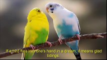 اگر خواب میں کوئی دیکھےکہ کسی کے ہاتھ میں پرندہ آ کر بیٹھتا ہے،