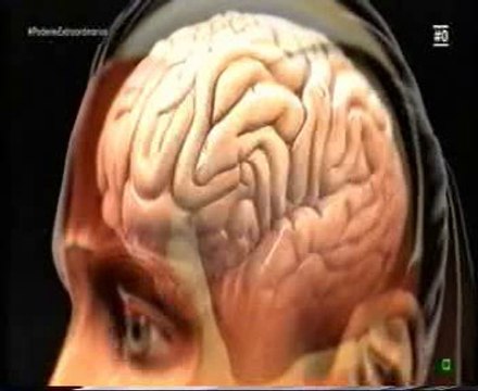 Sexualidad: Diferencias de genero