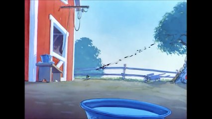 Tom and Jerry, 64  - The Duck Doctor (1952)