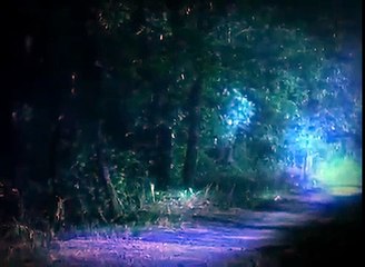 SERKANT YAŞAR KUTLUBAYDAN İblis Cadı Kanı