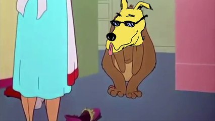 TFW Ya Boi Says He Hates Dogs