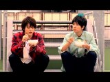 亀と山Pとクリームシチュー