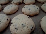 Schokoladen Cookies,Chocolate Cookies, Schoko Cookies