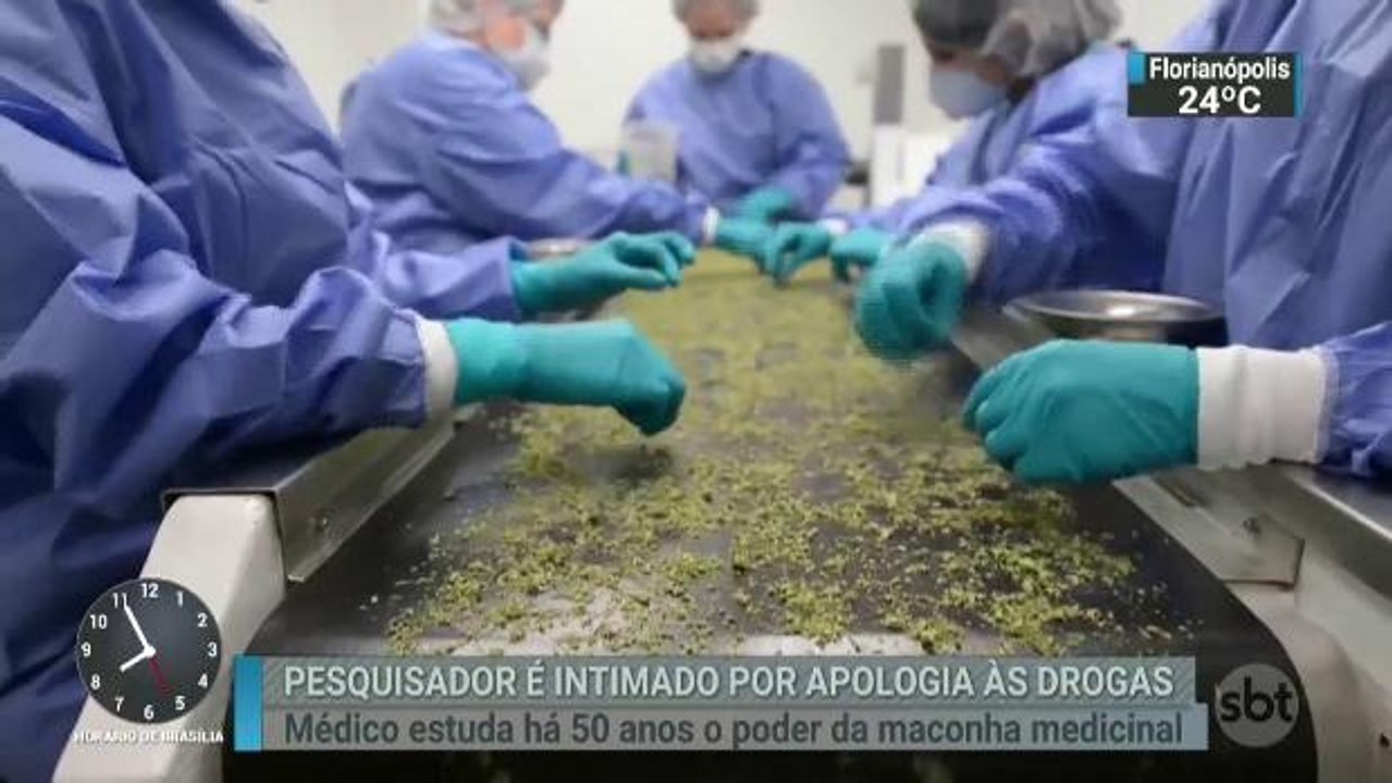 Especialista no uso medicinal da maconha é intimado para depor